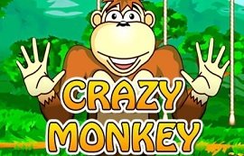 crazy-monkey