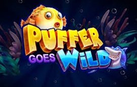 puffer-goes-wild